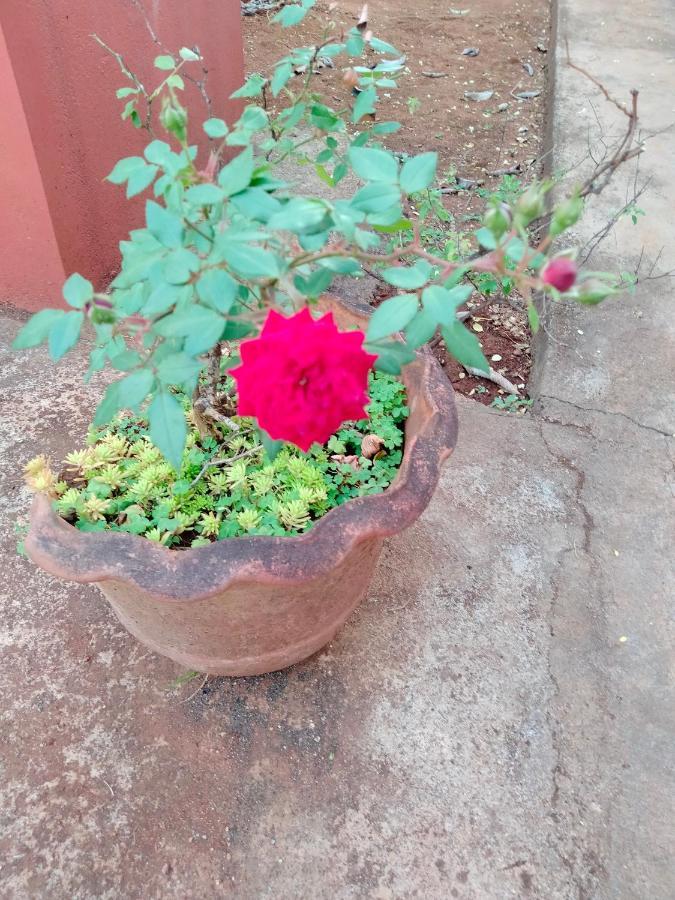 Ram @home With Kitchenette Full Apartment Yelagiri