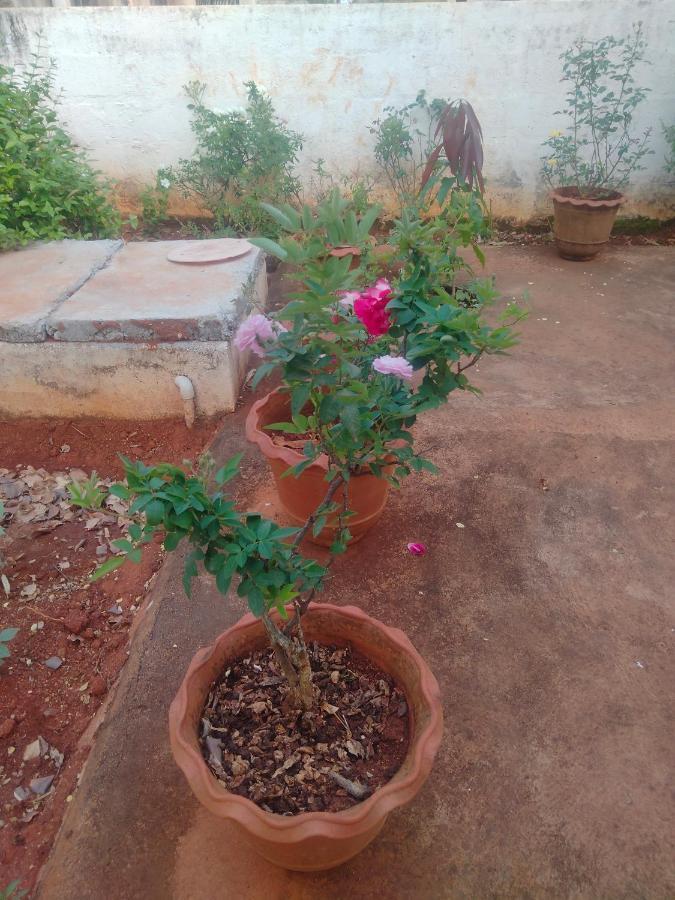 Ram @home With Kitchenette Full Apartment Yelagiri